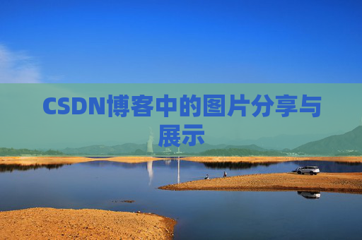 CSDN博客中的图片分享与展示